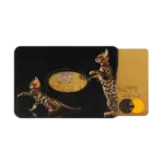 étui carte rigide anti-rfid anti-piratage Color pop fabrication française