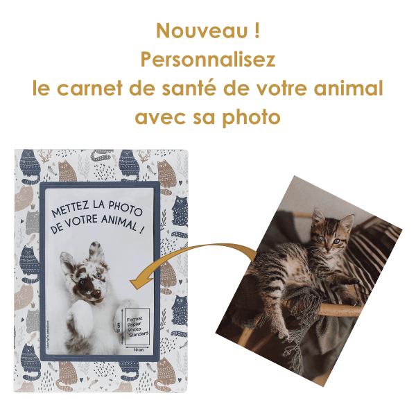étui santé animaux personnalisable carnet vaccination Color pop fabrication française