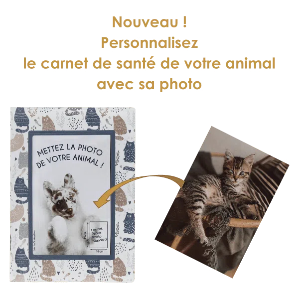 étui santé animaux personnalisable carnet vaccination Color pop fabrication française