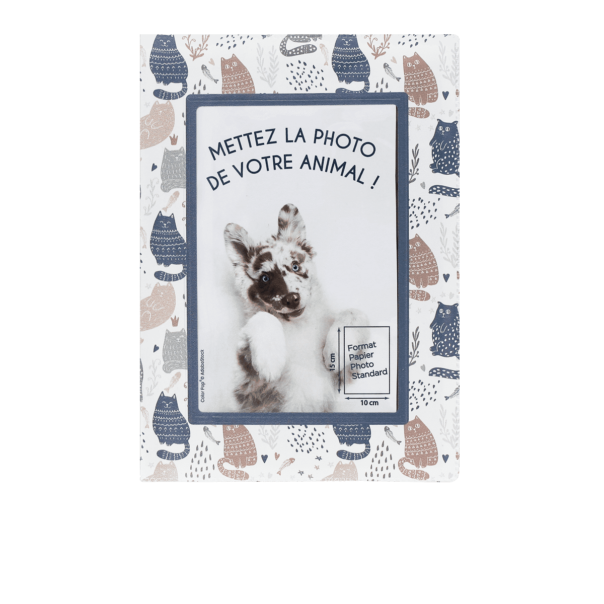 étui santé animaux personnalisable carnet vaccination Color pop fabrication française