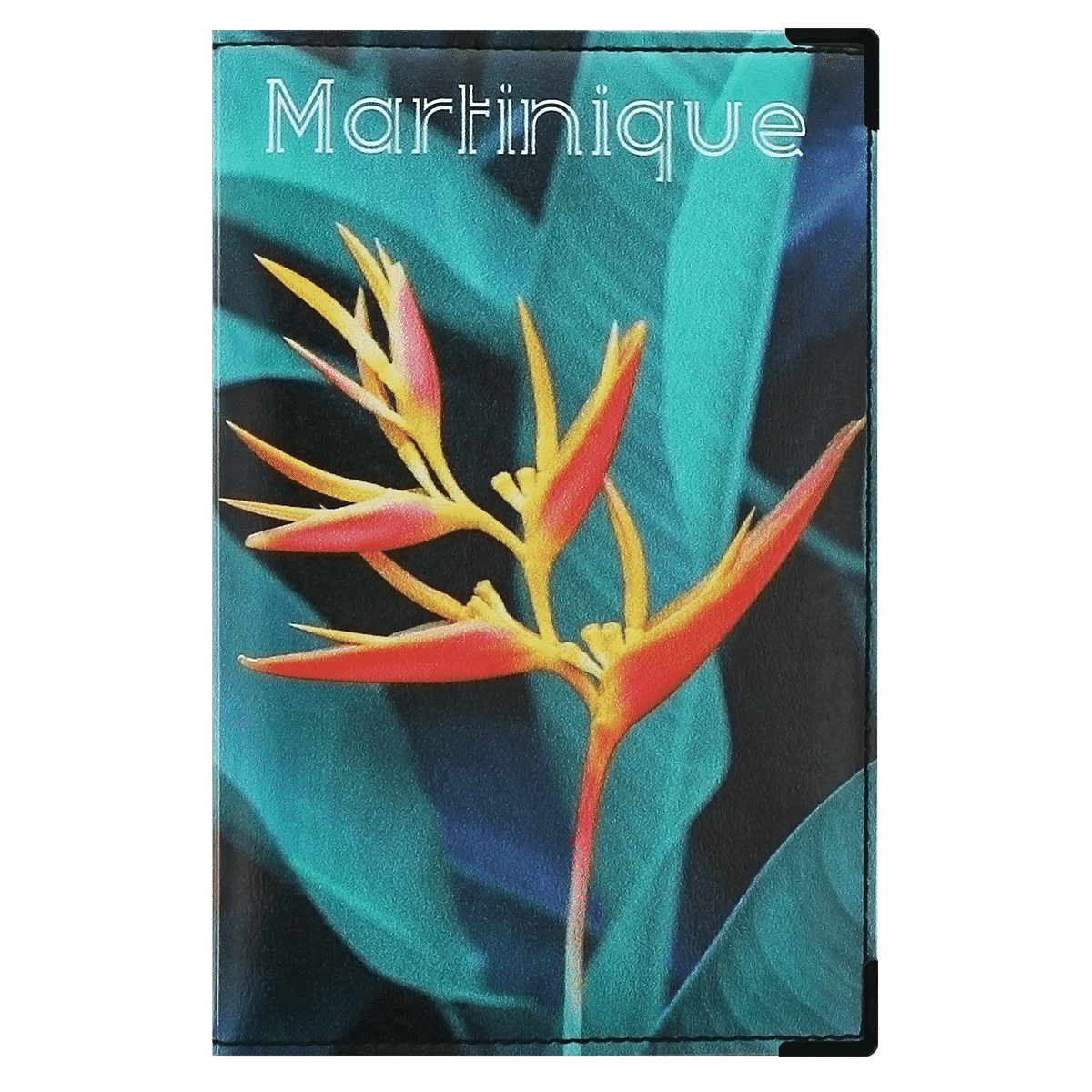 Tous permis 15,4 x 10,3 x 0,6 cm Color Pop® Porte-papiers Voiture Martinique en PVC Imprimé Carte Fabrication française 