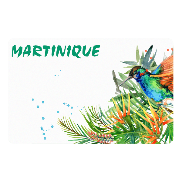 etui carte rigide carte bancaire carte de transport carte de cantine carte de sport My Color Pop petite maroquinerie made in france fabrication française