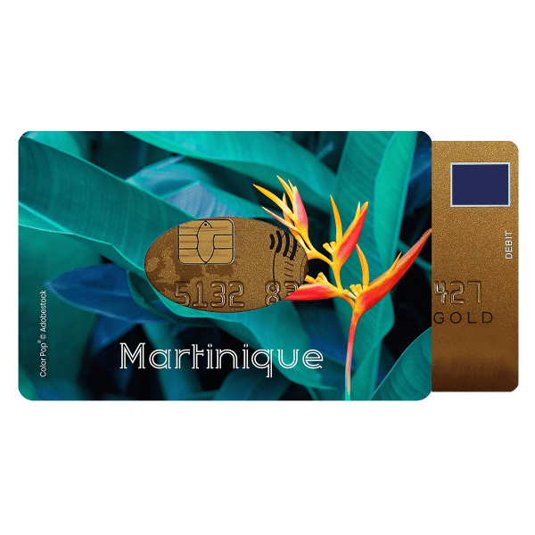etui carte rigide carte bancaire carte de transport carte de cantine carte de sport My Color Pop petite maroquinerie made in france fabrication française