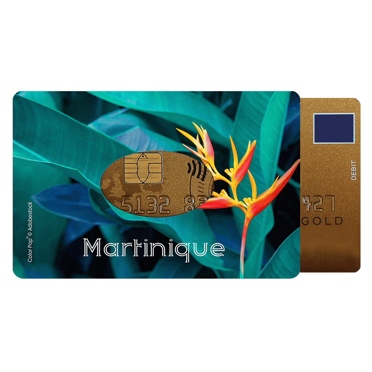 6 x 9,1 cm Fabrication française Imprime Tropical Etui Rigide 1 Carte My Color Pop® PVC Bio compostable imprimé 