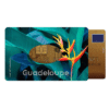 étui carte rigide Color Pop fabrication française