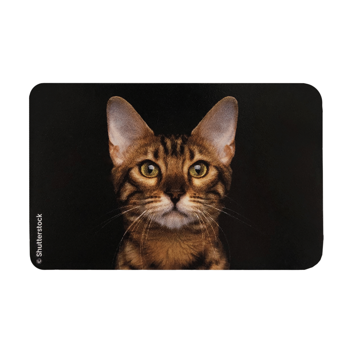 3 chat bengal blindé 613 étui pour carte blindée anti rfid anti piratage