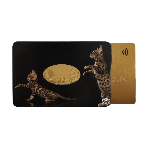 1 chat bengal blindé 613 étui pour carte blindée anti rfid anti piratage
