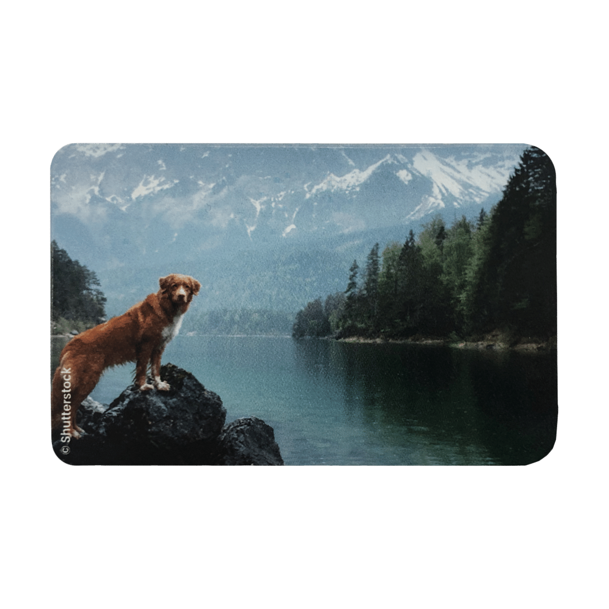 3 doug 613 étui pour carte blindée anti rfid anti piratage