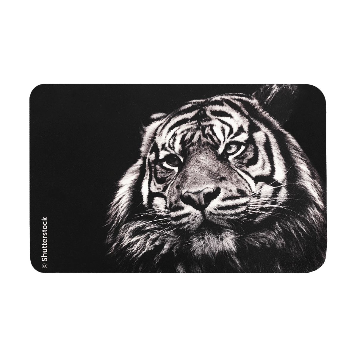 3 tigre 613 étui pour carte blindée anti rfid anti piratage