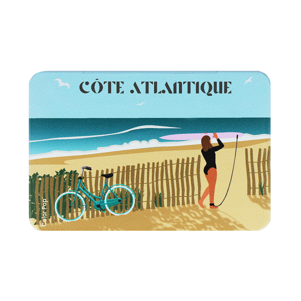 étui carte rigide anti-rfid anti-piratage Color pop fabrication française