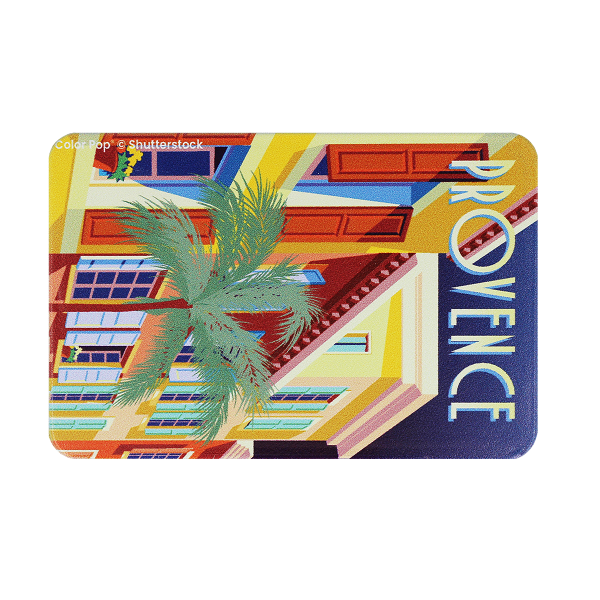 étui carte rigide anti-rfid anti-piratage Color pop fabrication française