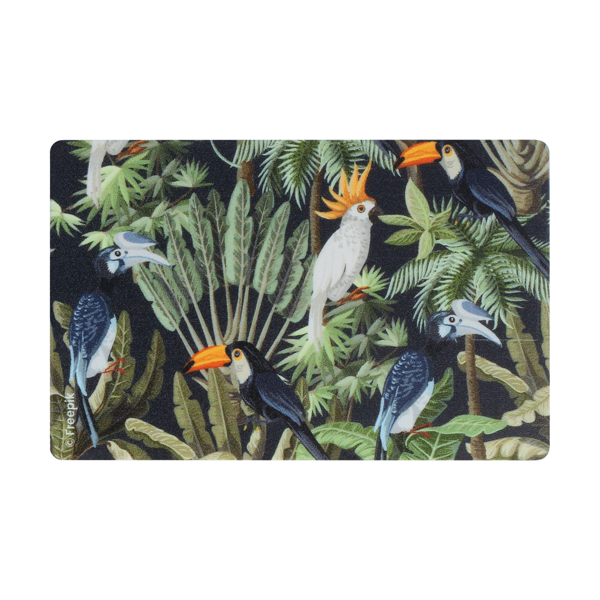 motif toucan, carte bancaire, carte de crédit, carte transport, badge, carte cantine, protège carte bancaire, étui pour carte bancaire ou carte de crédit