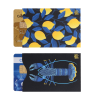Lot de 2 étuis carton anti-RFID Color Pop