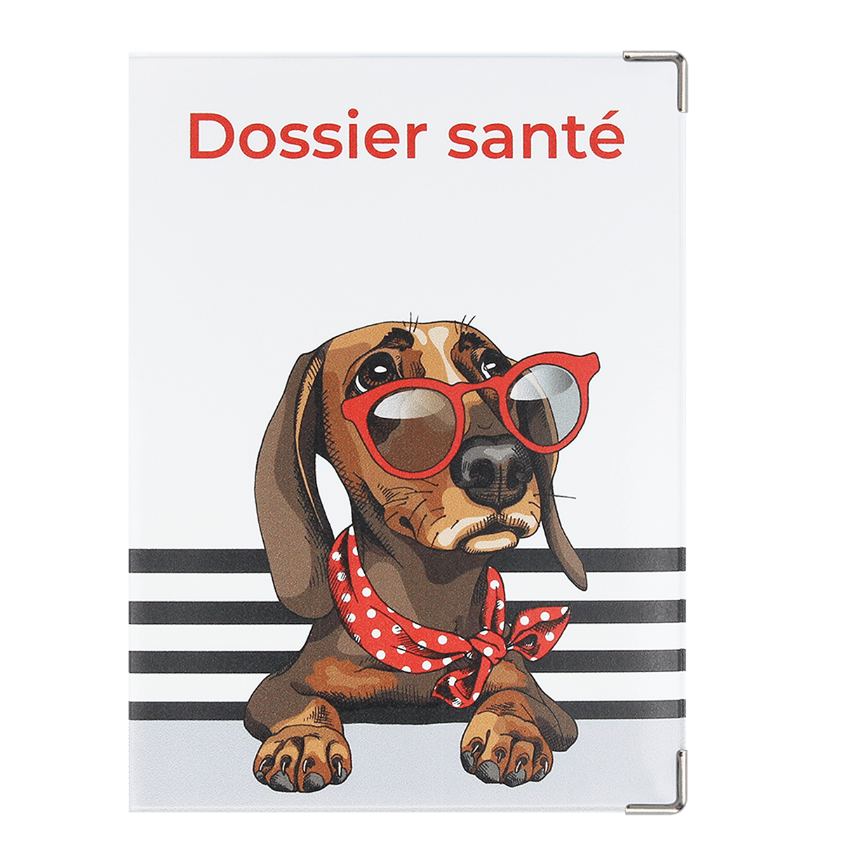 étui santé animaux carnet vaccination Color pop fabrication française